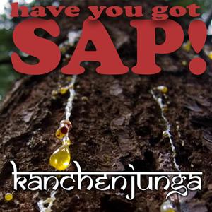 SAP!