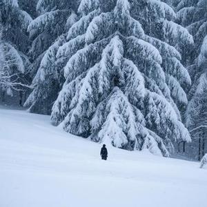 今生啊 多相见 (Cover 万仁)