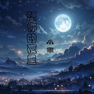 想你的夜里