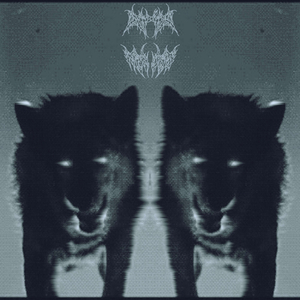 Расскажи правду