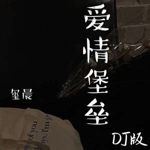 爱情堡垒 (DJ版)