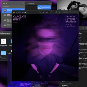 IL LE FAUT (feat. Carolane)