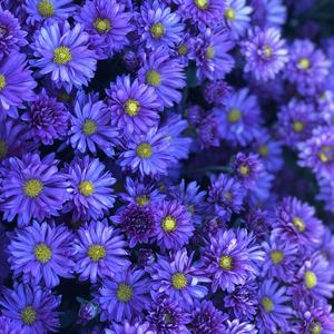 尽管如此，还是