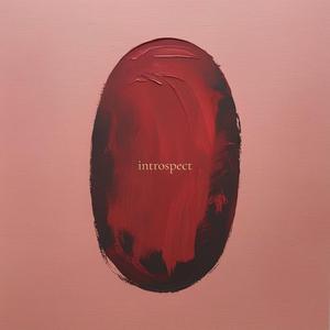 introspect