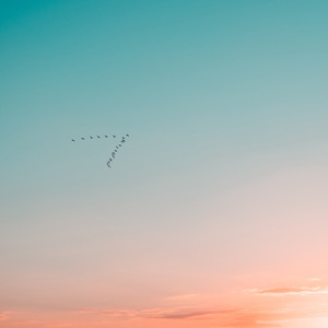 夏日的晚霞 (助眠钢琴曲)