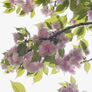 Y-soulmate-M - 刻在我心底的名字