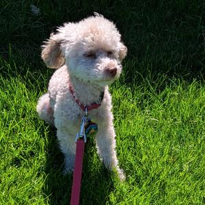 Tape 43 (Two Whiskey Fingers)