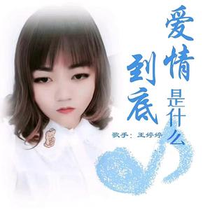 爱情到底是什么（伴奏）