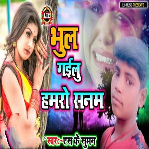 Bhul Gailu Hamro Sanam