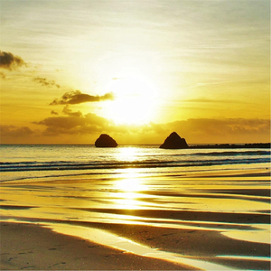 Music of Feng Shui Garden Planted by Teacher of Meditation for Yoga, Massage, Sleep Therapy, Pain and Stress Relieve, Reiki, Energy Work, Balancing, Healing, Creative Spirit (feat. Shakti Ros)