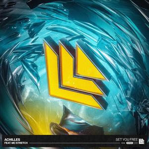 Set You Free (VIP Mix)