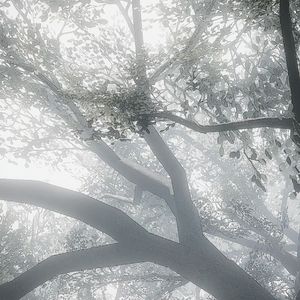 “0ld Me”BobbynopeaceXSakeeXSasioverlord Typebeat