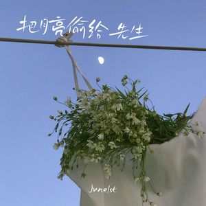 把月亮偷给先生