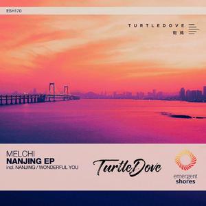 Melchi-Wonderful you（Turtle Dove斑鸠 remix）