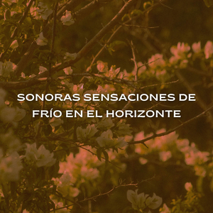 Vibra De Ruedas Gratis