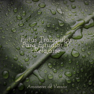 Susurros melódicos del jardín secreto