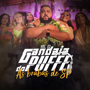 Gandaia do Puffe, Vol. 2 - As Brabas de SP