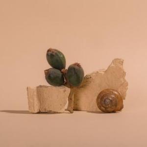 FREE RNBxPOP ”积水“