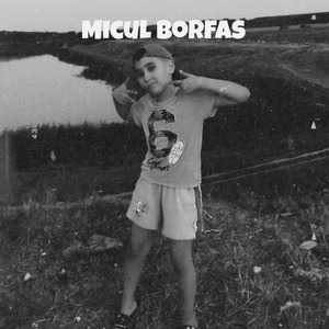Micul Borfas