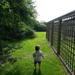 Every Mother's Child