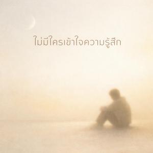 ไม่มีใครเข้าใจความรู้สึก