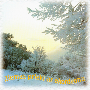 Cik koši svētku egle laistās