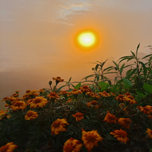 ฉันภูมิใจในตัวเธอ