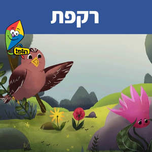 רקפת