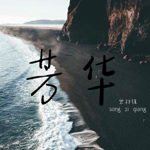 芳华