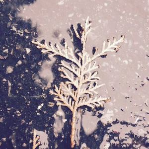 雨霖铃·寒蝉凄切demo