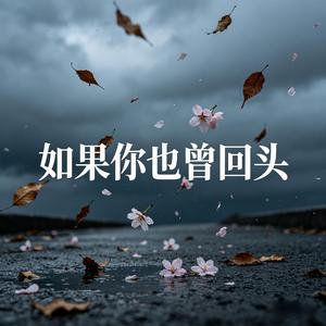如果你也曾回头