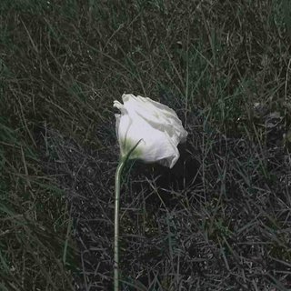 群友分享整理