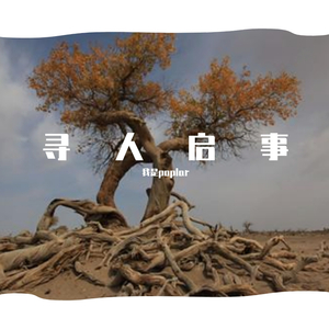 寻人启事Cover徐佳莹