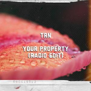 Your Property (Radio Edit)