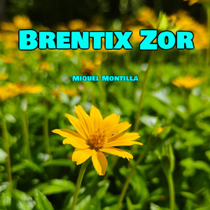 Zorlin Vex