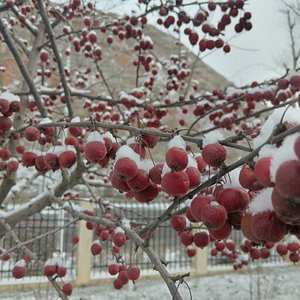 《守夜的人》_1.aac