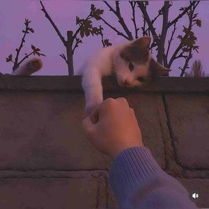 原来爱一个人也有错