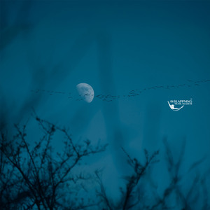 Den blå timmens andetag