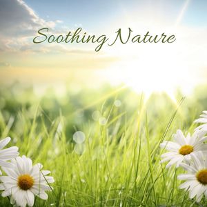 Rainy Parking Lot - Loopable