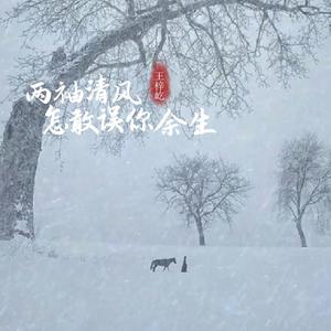 两袖清风怎敢误你余生 (DJ默涵版伴奏)