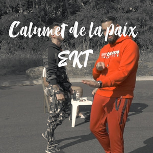 Calumet de la paix