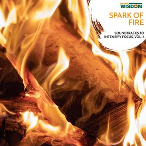 Fire Shines Over Summerforest