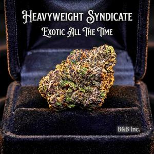 Exotic all the time