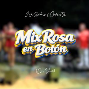 Mix Rosa en Botón (En Vivo)