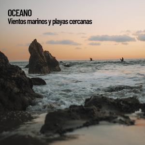 Océano chapoteando en la playa