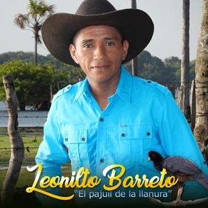 Alzaste el vuelto gaviota