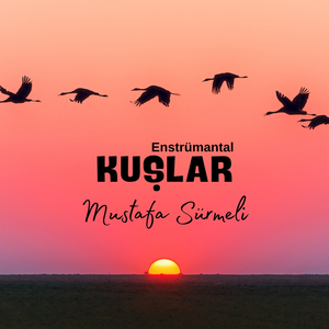 Kuşlar (Enstrümantal)