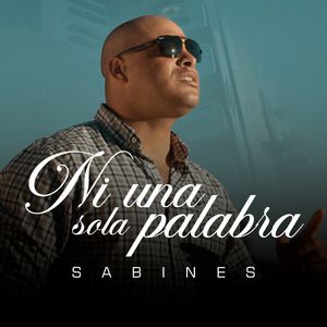 Ni una Sola Palabra (Cover)