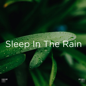 수면을위한 주변 소리