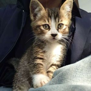 《妈妈，等等我》玖野